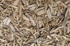 biomass boilers Dun